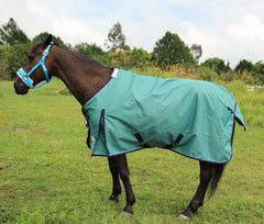 T TEKE Deluxe turnout sheet silky nylon lining for coat-friendly contact