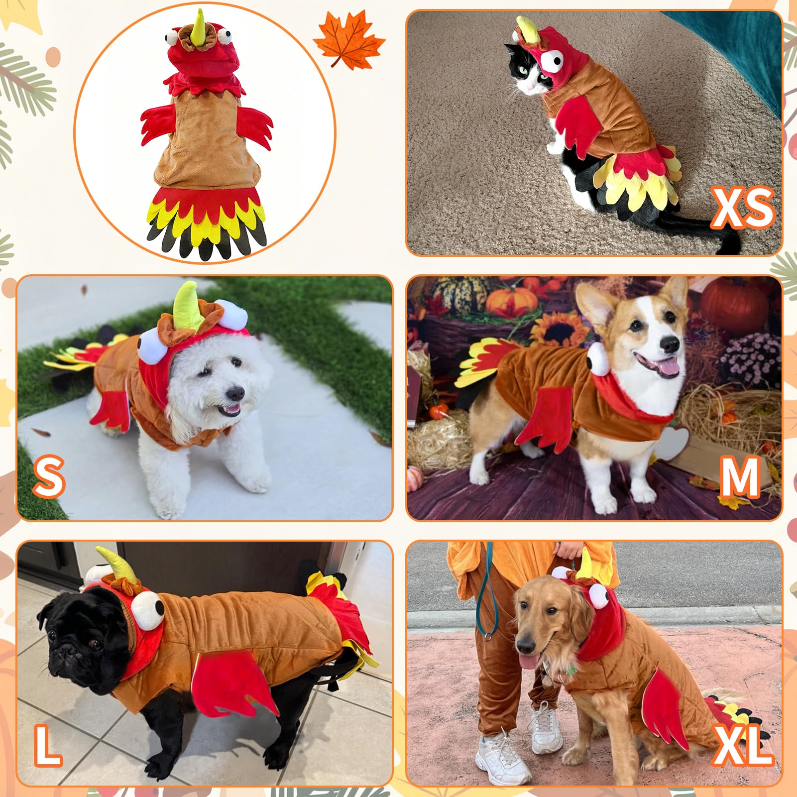 T2Y turkey costume highlighting colorful wings for Thanksgiving photos