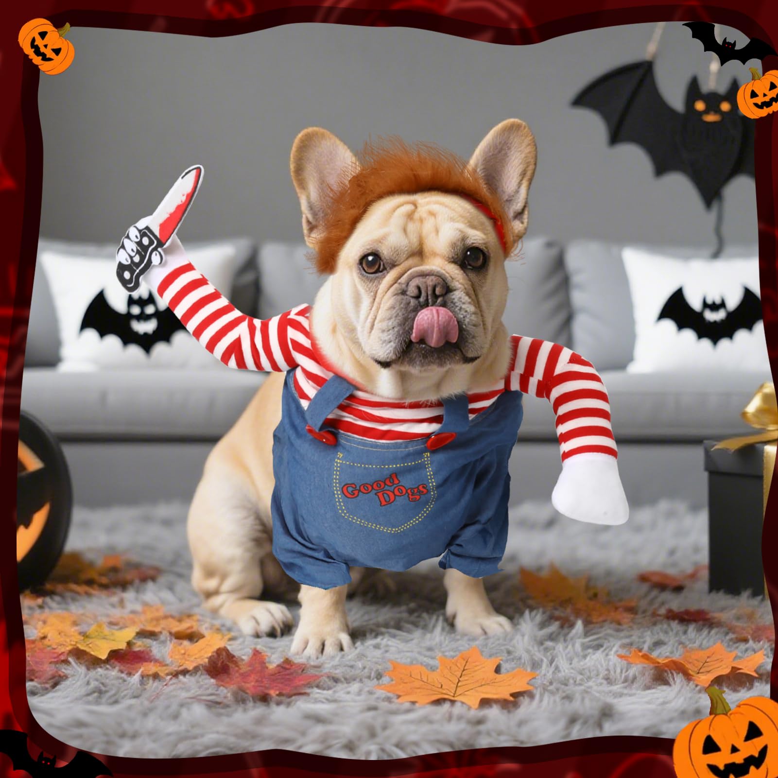 T2Y-photo-shoot-ready costume elevates pet party memories.