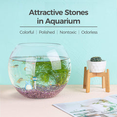 Piedras decorativas T4U para acuarios y paisajes acuáticos.