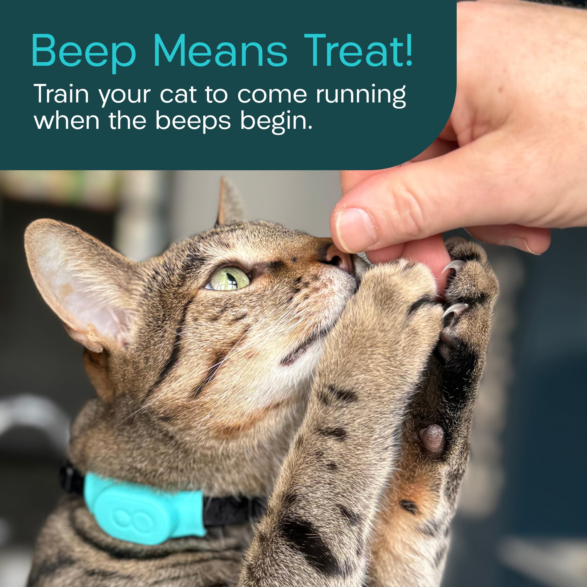 TabCat durable-design-cat-tracker offers rugged reliability trusted by cat owners.