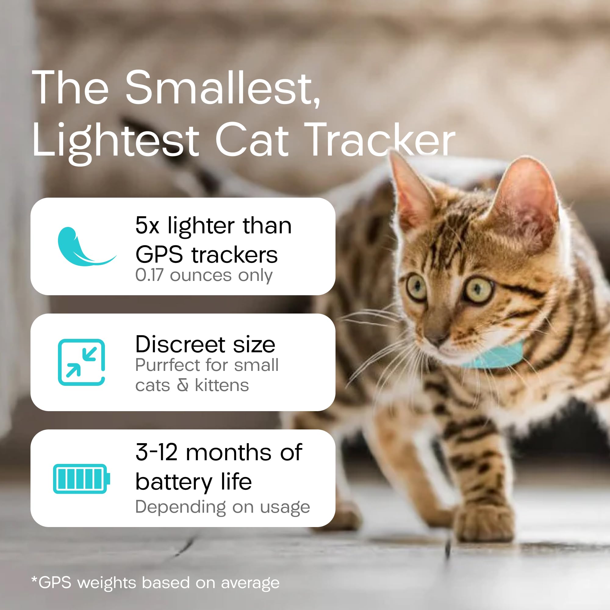 TabCat Homing Tag cat-collar-attachment demonstrates kitten-friendly, lightweight tracking.