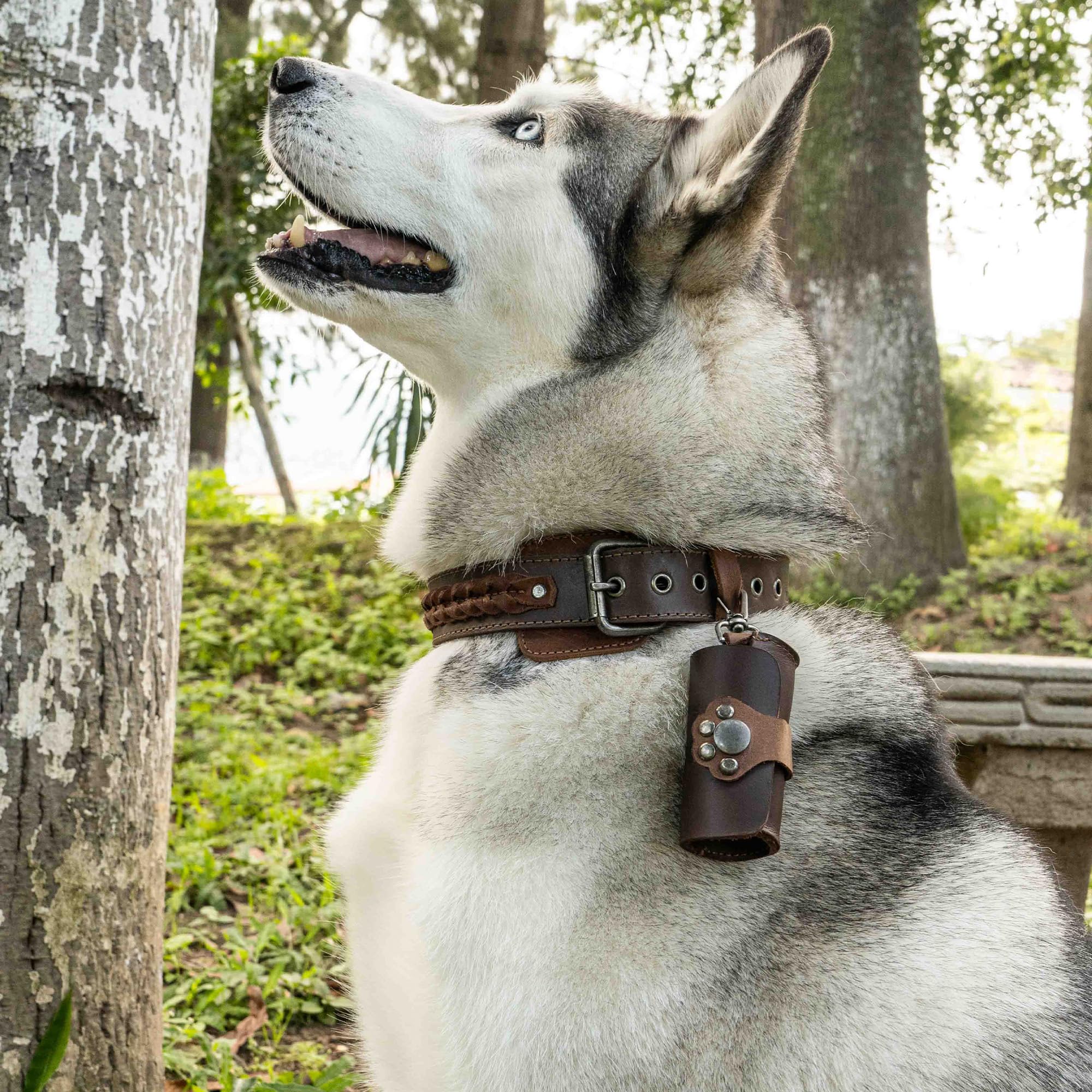 Taco Dog full-grain leather, handmade, for durable daily use during long dog walks