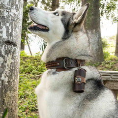 Taco Dog full-grain leather, handmade, for durable daily use during long dog walks