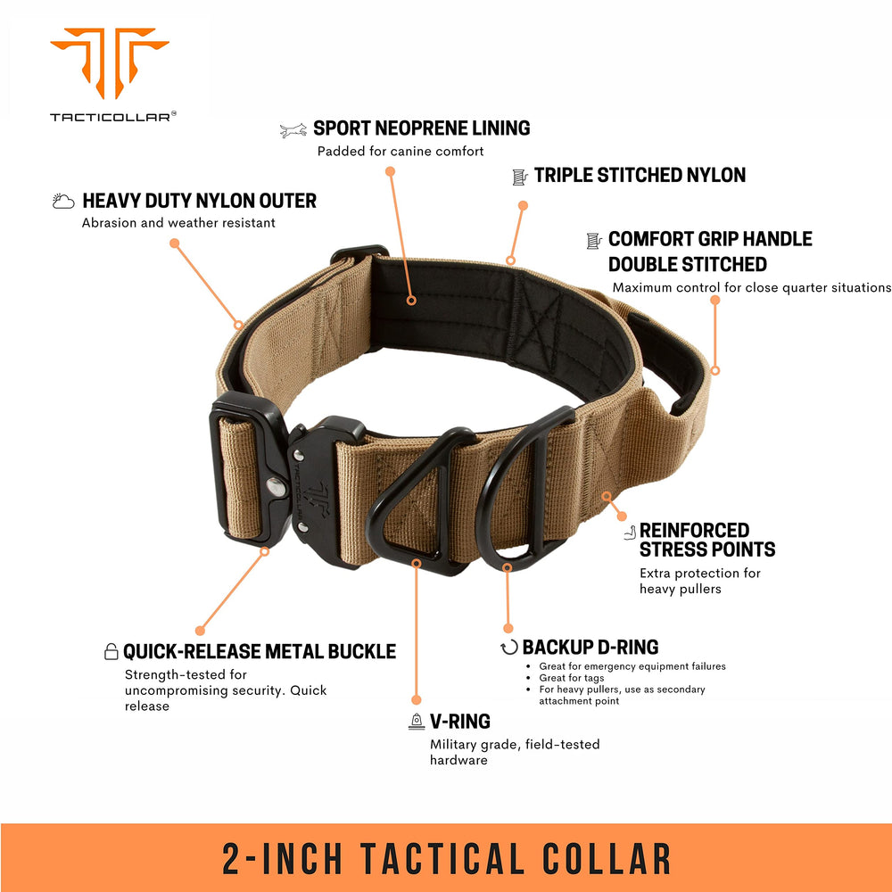 Tacticollar handle close-up illustrating secure control during close-quarters training.