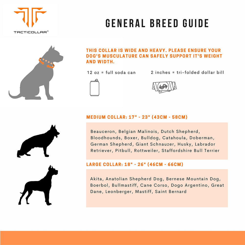 Tacticollar large-breed walking and hiking image showing safety and comfort.