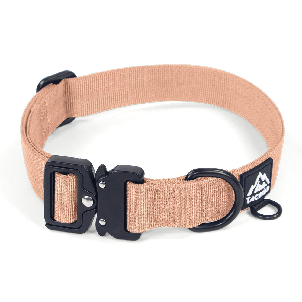Tacwild Carolina Blooms collar 1.5-inch wide on a large dog for comfortable daily wear