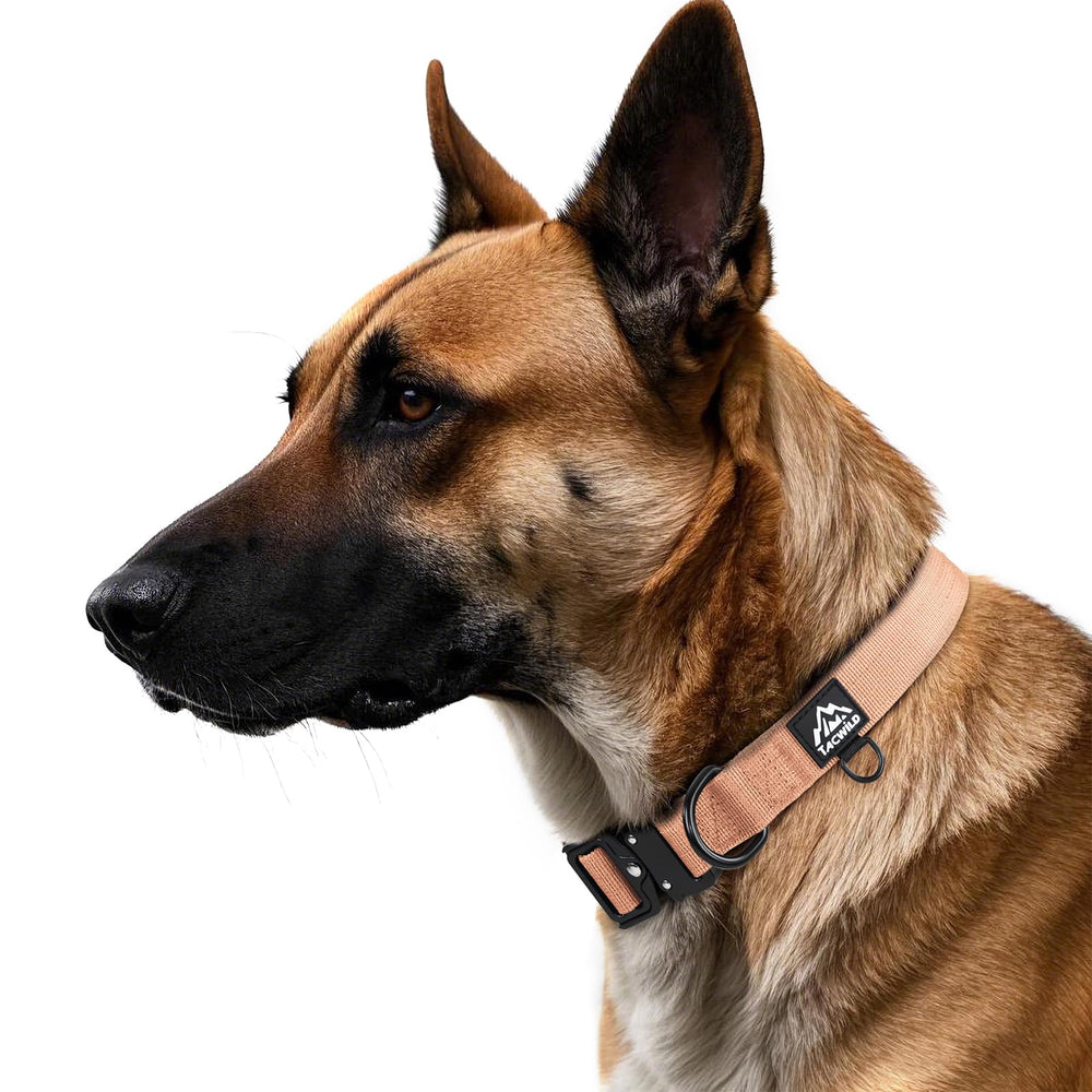 Tacwild Carolina Blooms collar quick-release buckle shown for easy on-off