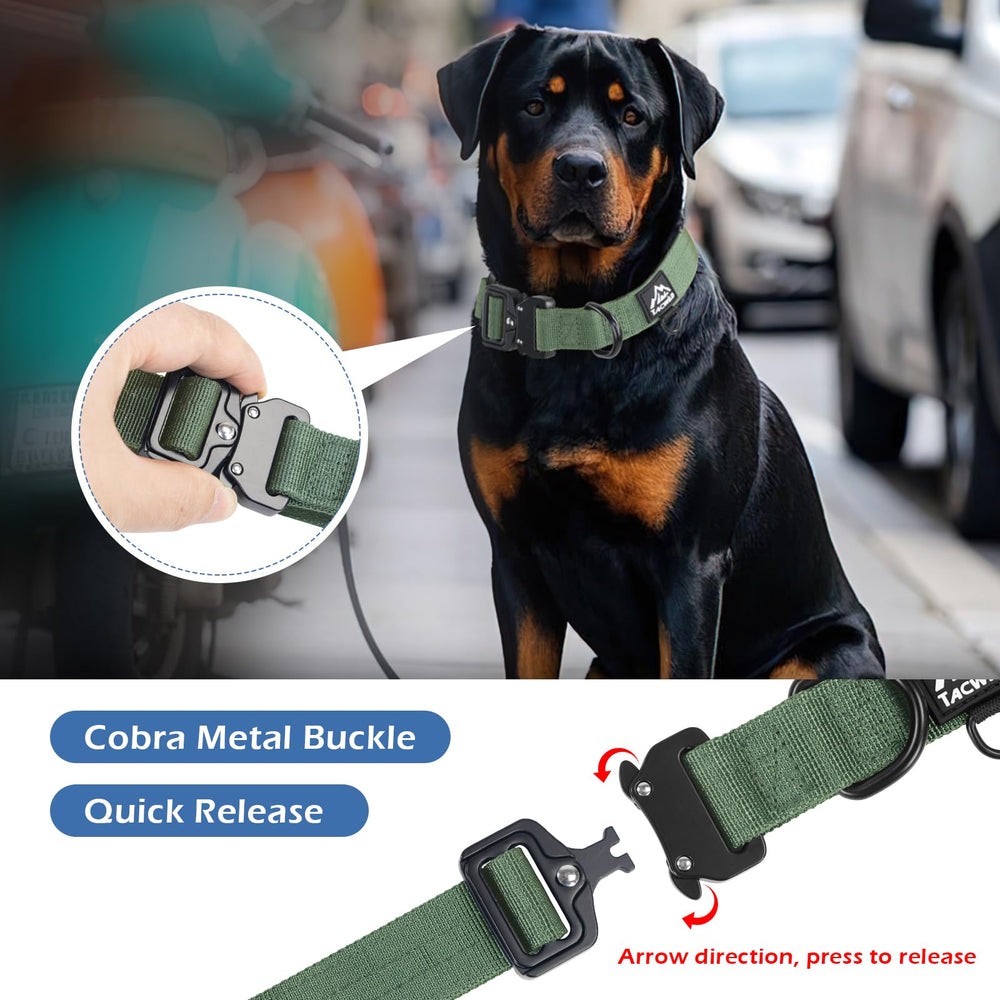Tacwild large-dog collar showing D-ring and leash attachment for confident control.