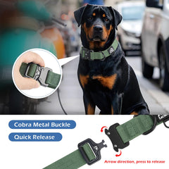 Tacwild large-dog collar showing D-ring and leash attachment for confident control.