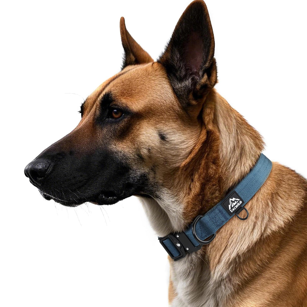 Tacwild Heavy Duty Dog Collar Haze Blue nylon weave detail highlights durability