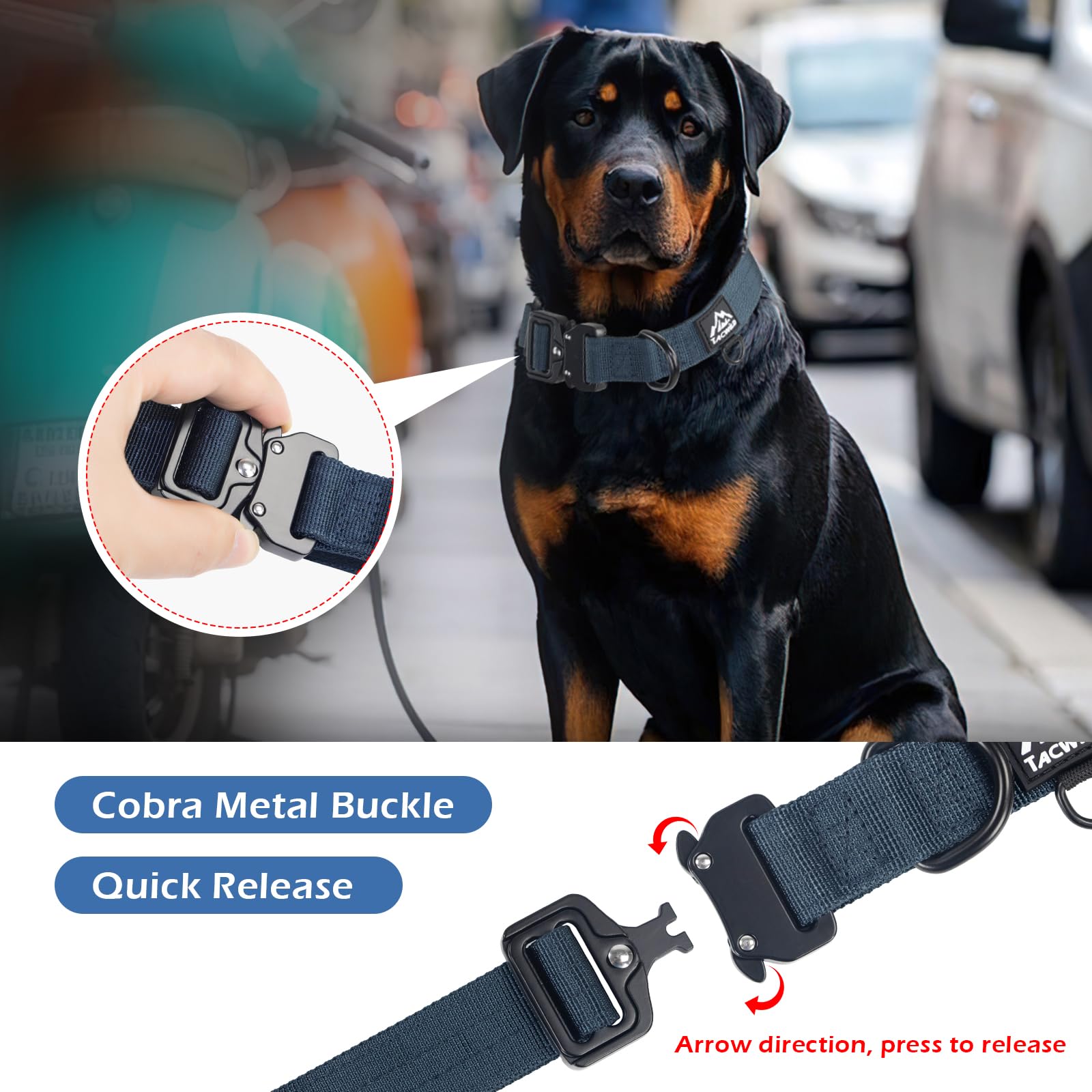 Tacwild heavy-duty dog collar navy blue D-ring—reliable leash attachment for training