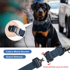 Tacwild heavy-duty dog collar navy blue D-ring—reliable leash attachment for training