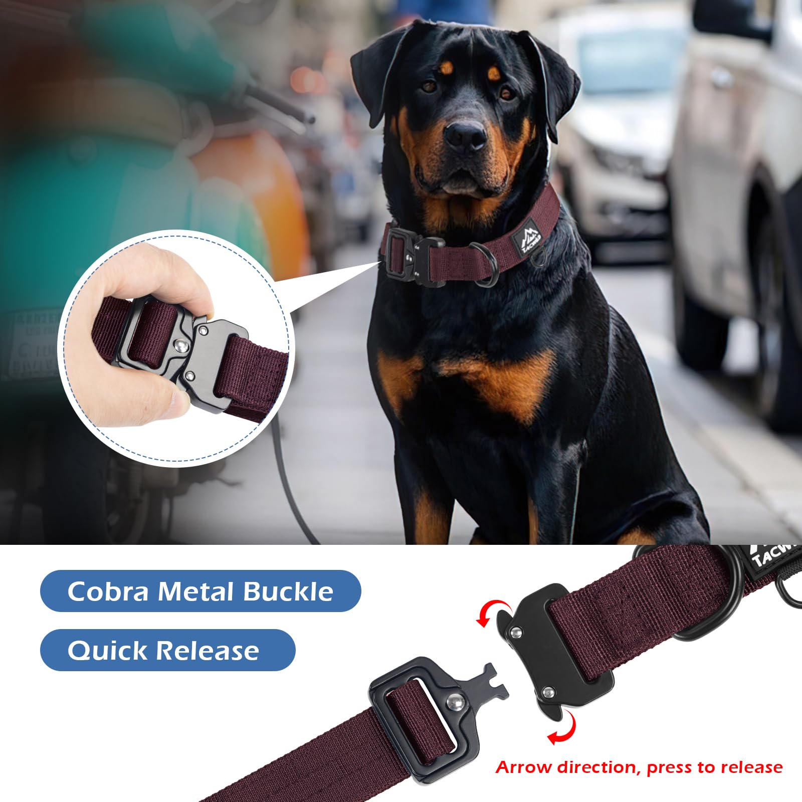 Tacwild nylon collar with 1000D stitching demonstrates durability for powerful dogs during walks.