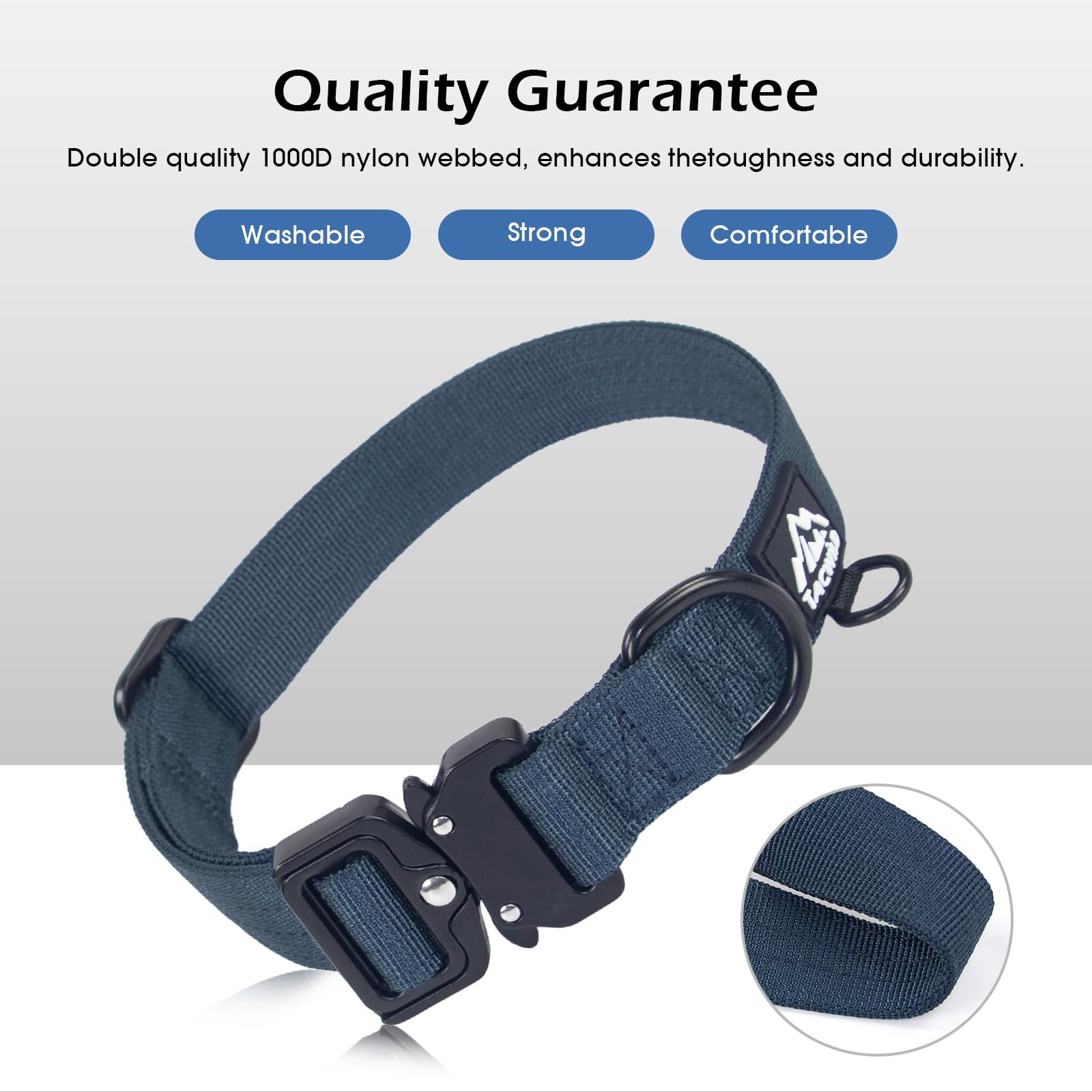 Tacwild nylon dog collar patrolling scene—great for hiking and everyday walks