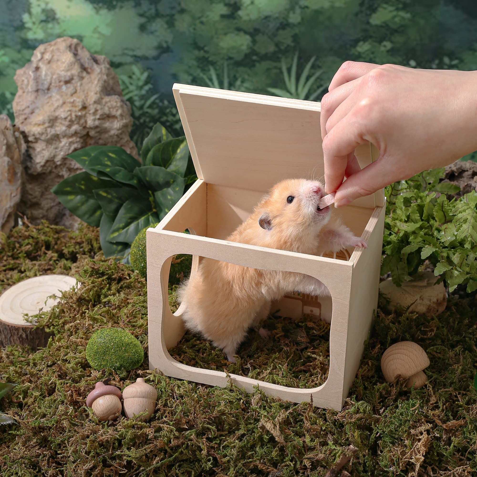 Tafit bottomless design expands play space for digging and exploration.
