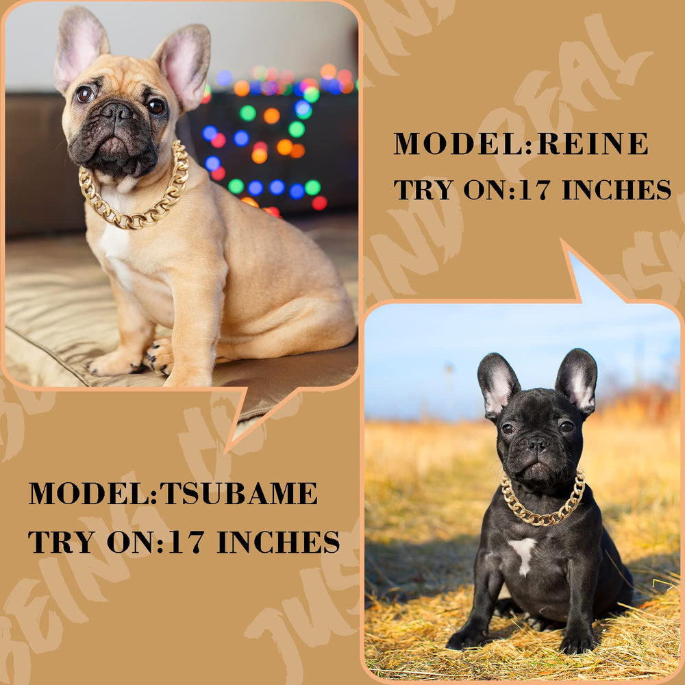 Tagbilang 18K gold plated dog chain collar closeup links highlights 20mm width for style