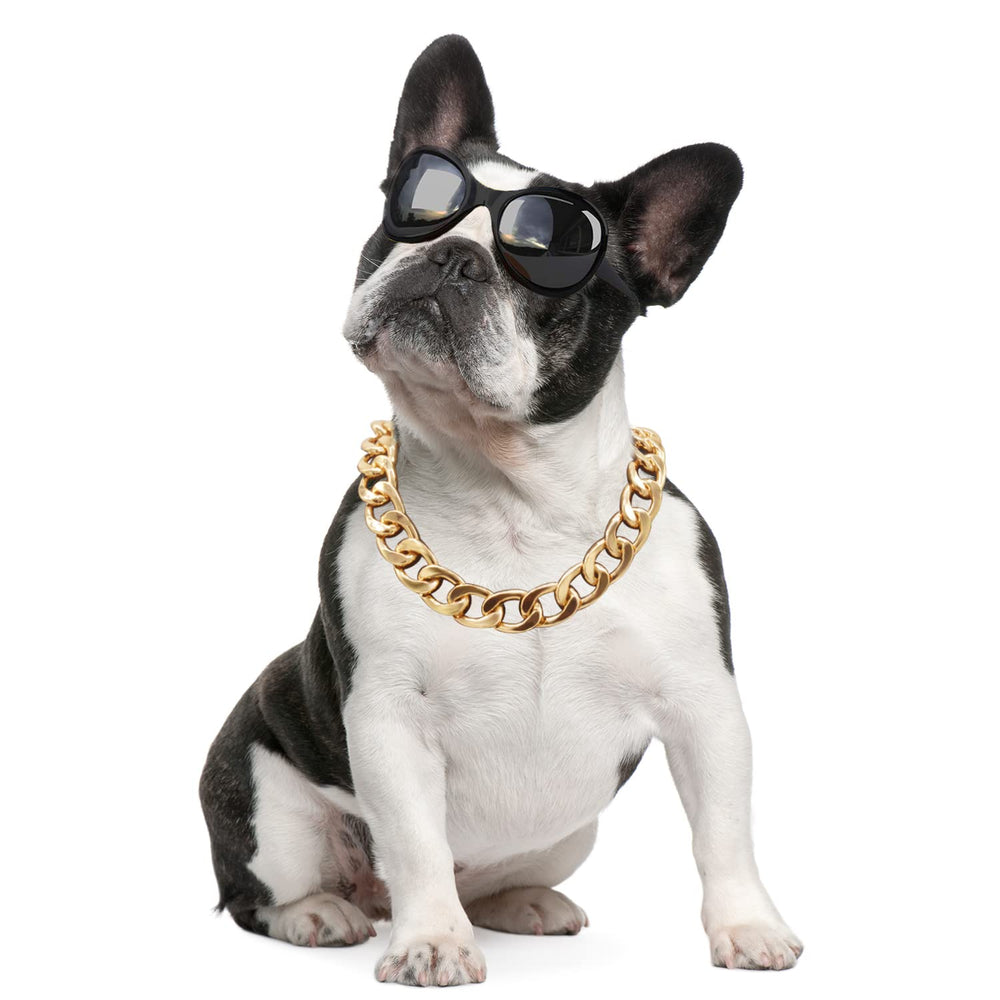 Tagbilang 18K gold plated dog chain collar front view showcases durable luxury