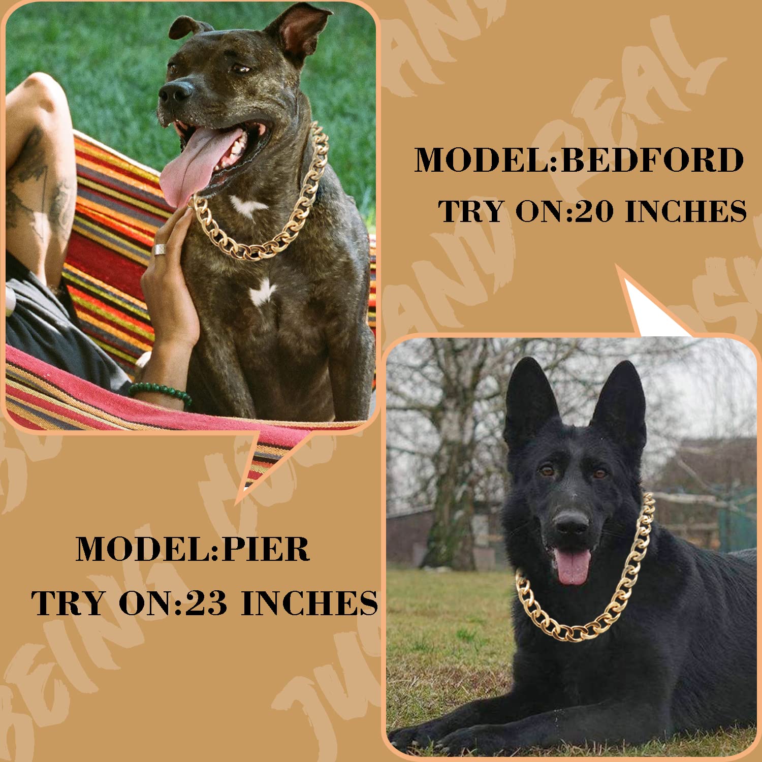 Tagbilang 18K gold plated collar with easy lock catch for quick fitting during walks
