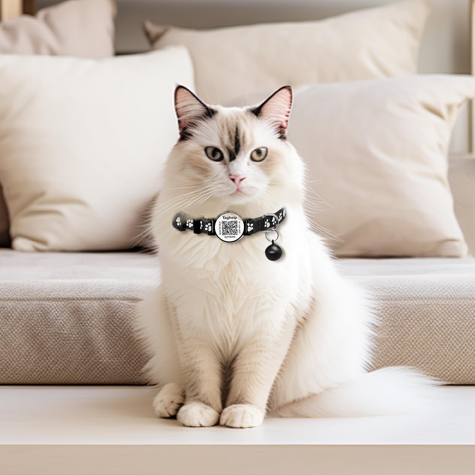 Taghelp adjustable cat collar fits 8–13 inches.