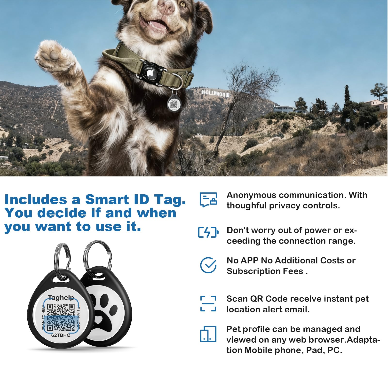 Taghelp AirTag dog collar suitable for training, hiking, and daily activities.