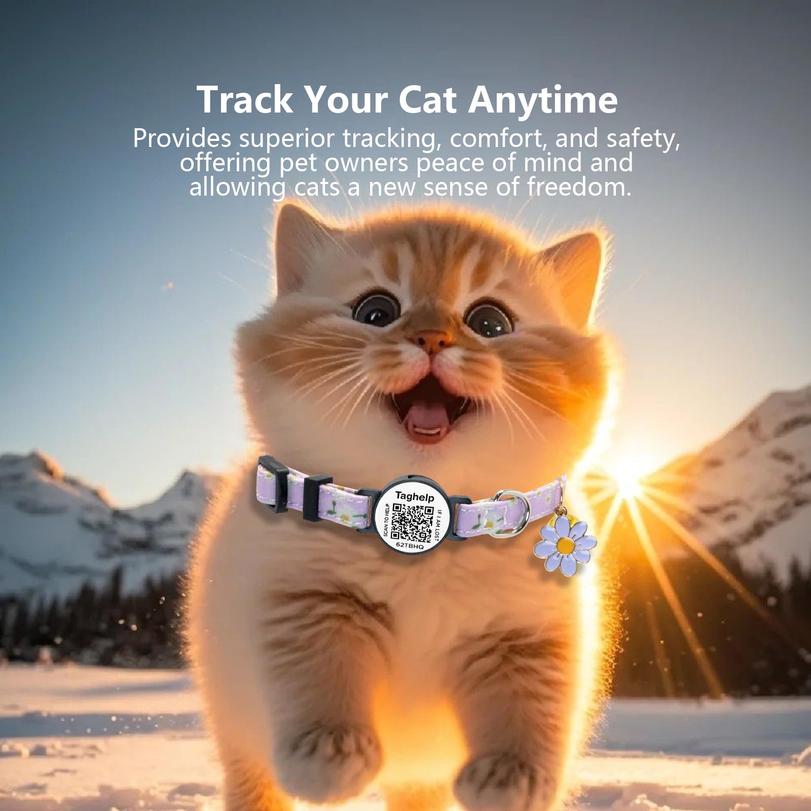 Taghelp lightweight cotton cat collar worn by a kitten.