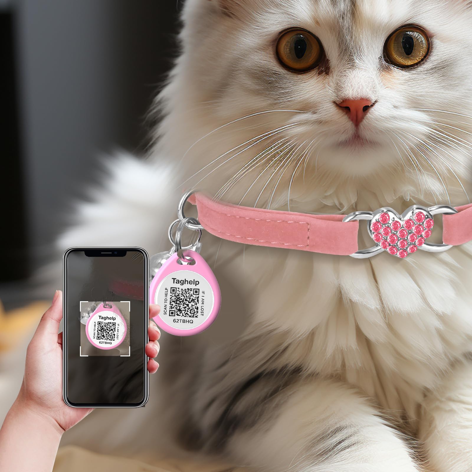 Taghelp heart-bling cat collar elastic-safety highlights breakaway design for pet safety