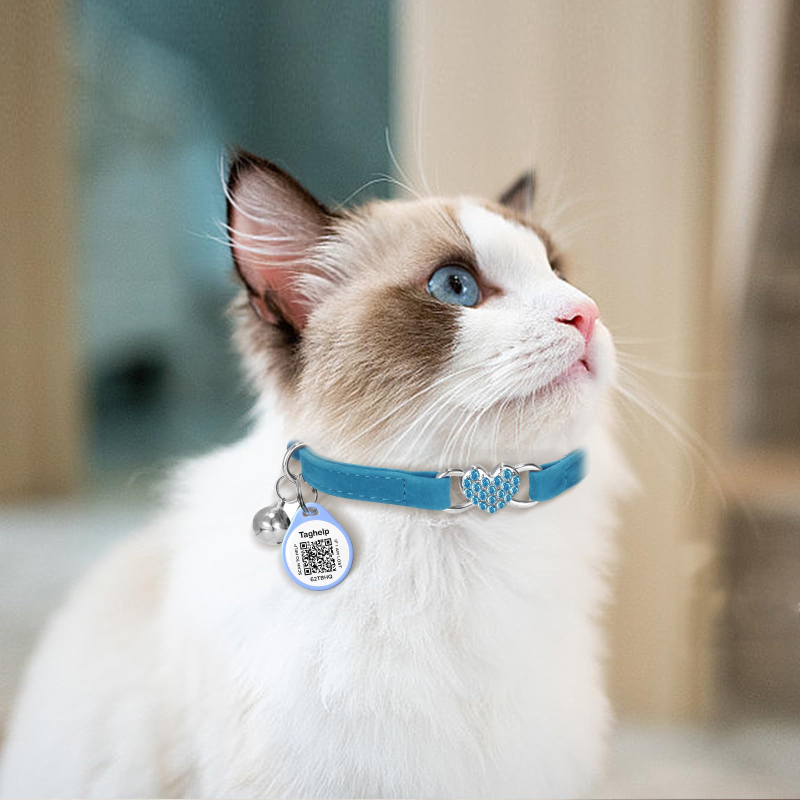 Taghelp profile setup on collar shows editable pet information
