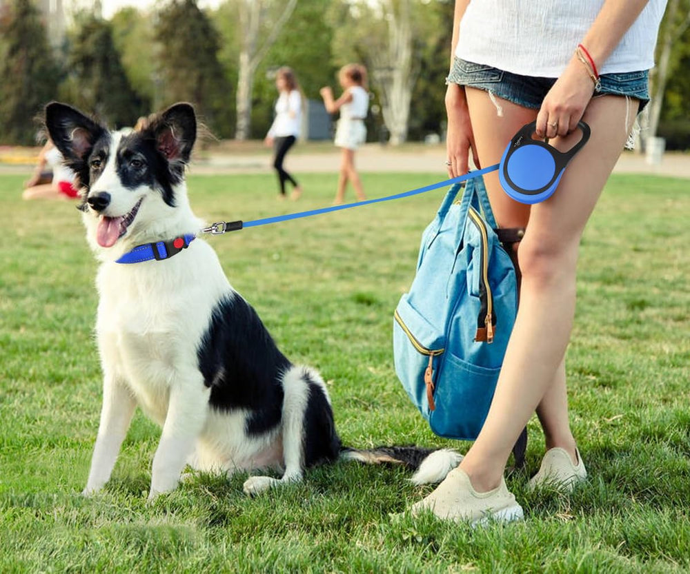 Taglory retractable leash blue extended shows 16ft reach for flexible distance control.