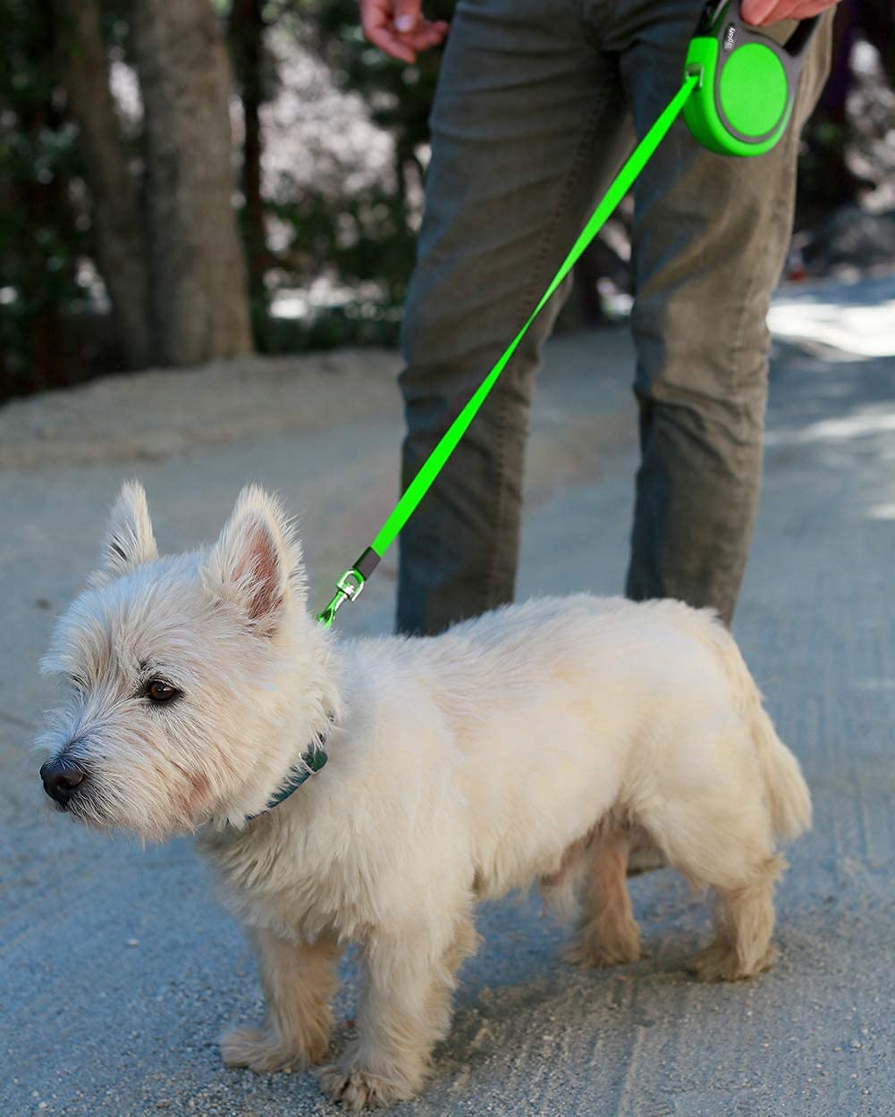 Taglory retractable dog leash green with tangle-free design prevents twists during strolls.