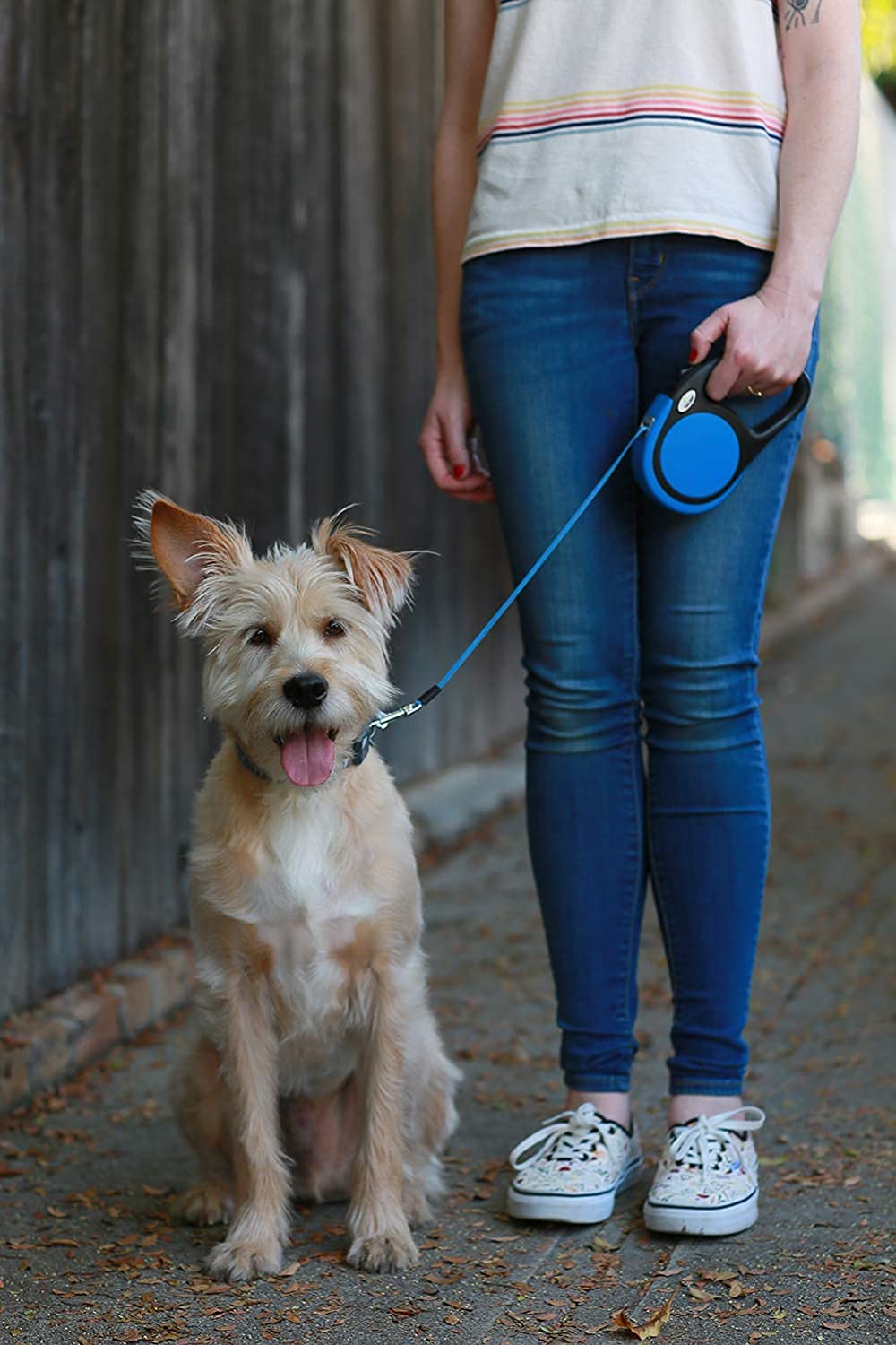 Taglory retractable leash shows 360-degree tangle-free design for smooth walking