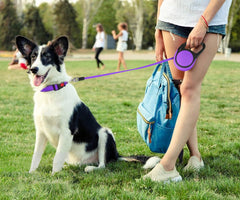 Taglory retractable leash pause button demonstrates quick distance control on outings.