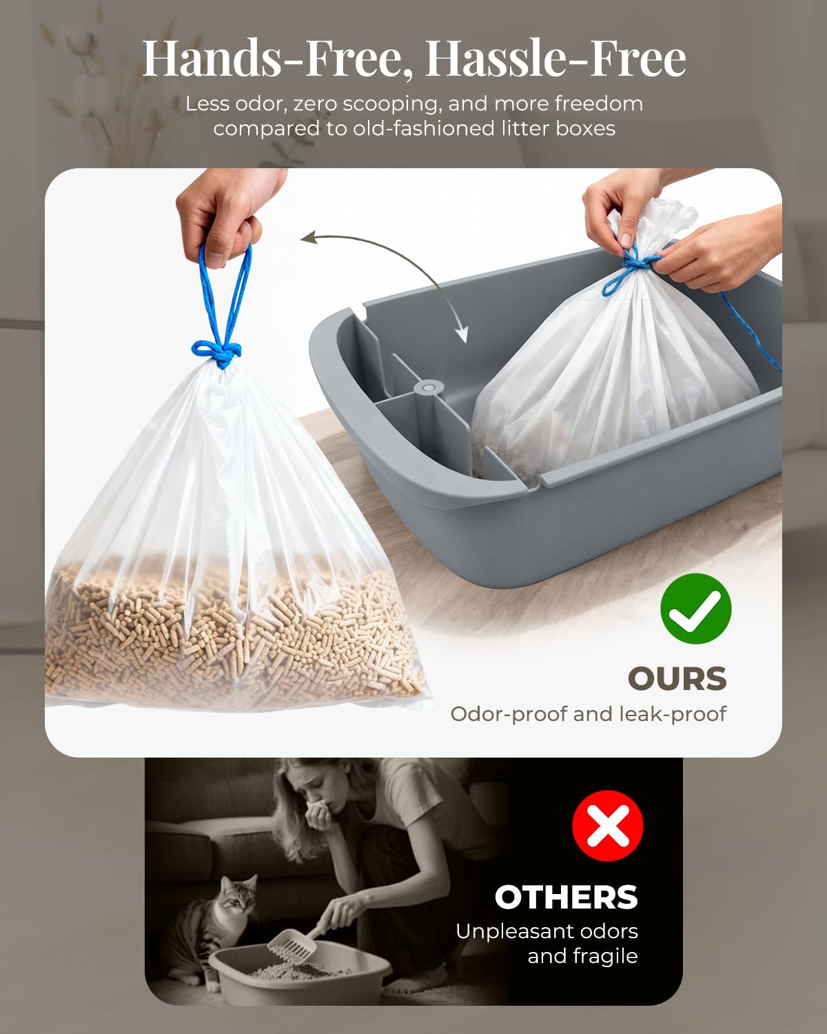 Taifa app alerts and real-time status updates for busy pet parents