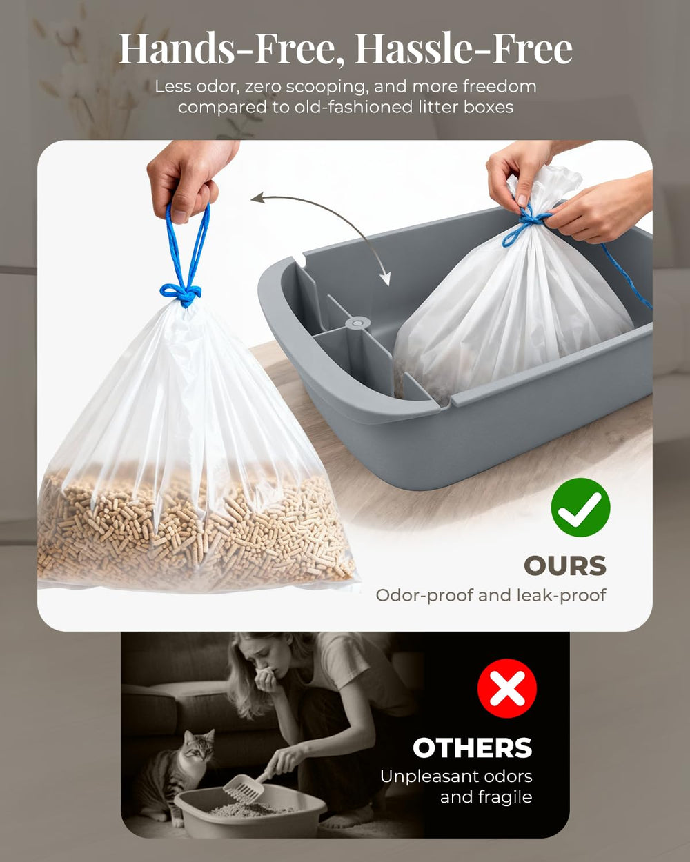 Taifa app alerts and real-time status updates for busy pet parents