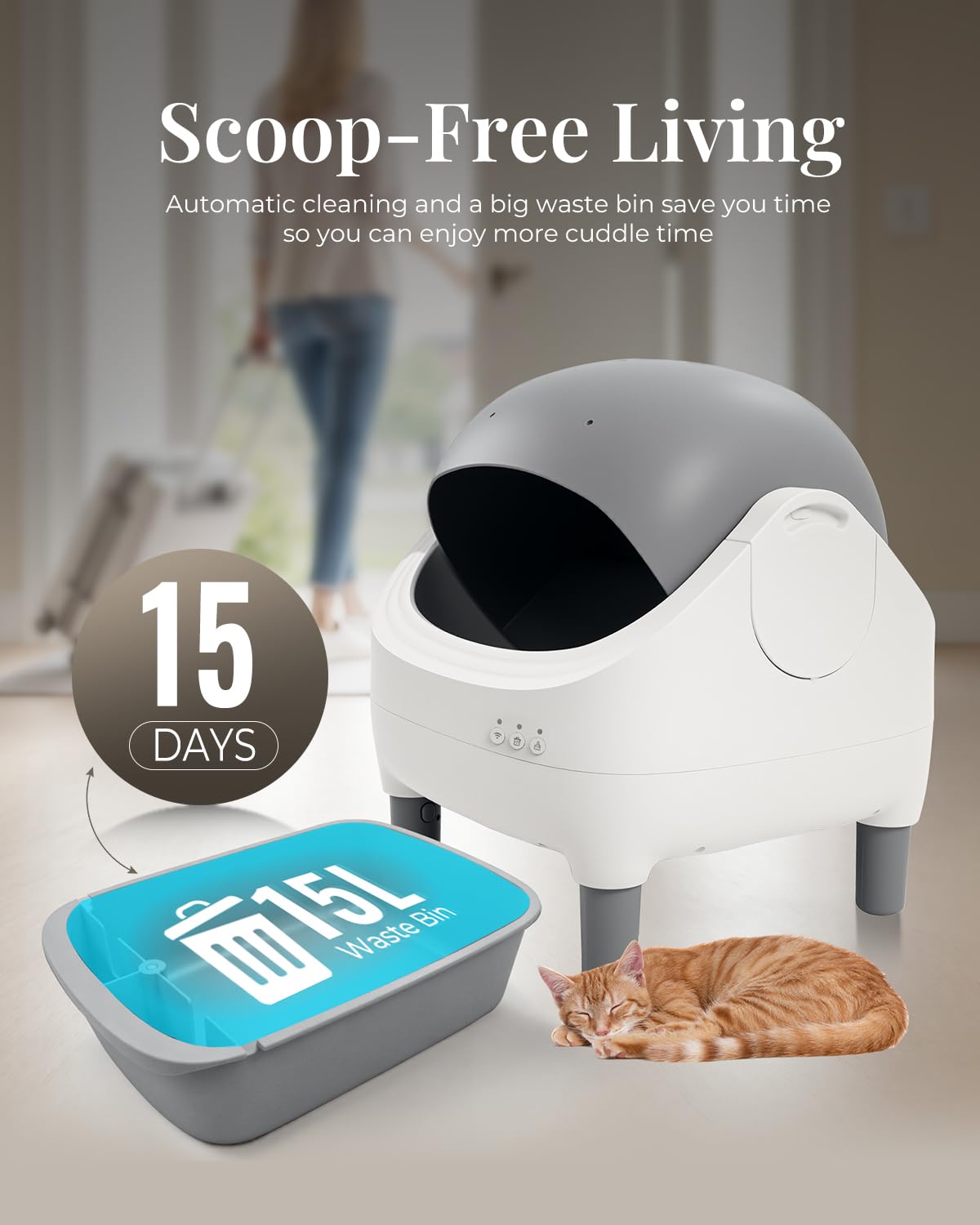 Taifa open-top entry design for easy access and comfortable in-and-out for cats