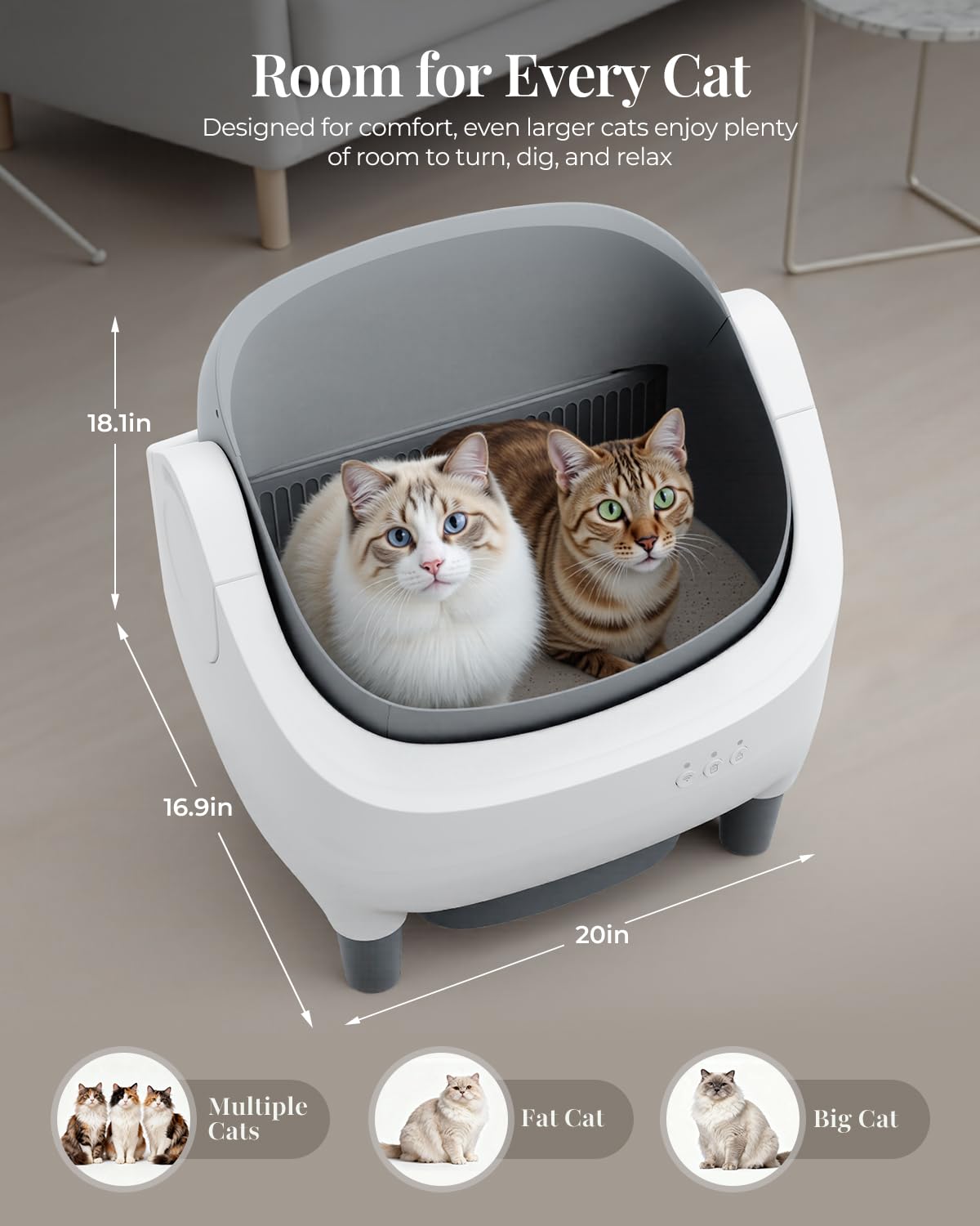 Taifa ultra-quiet operation keeps nights peaceful for light sleepers and skittish felines