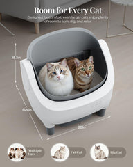 Taifa ultra-quiet operation keeps nights peaceful for light sleepers and skittish felines