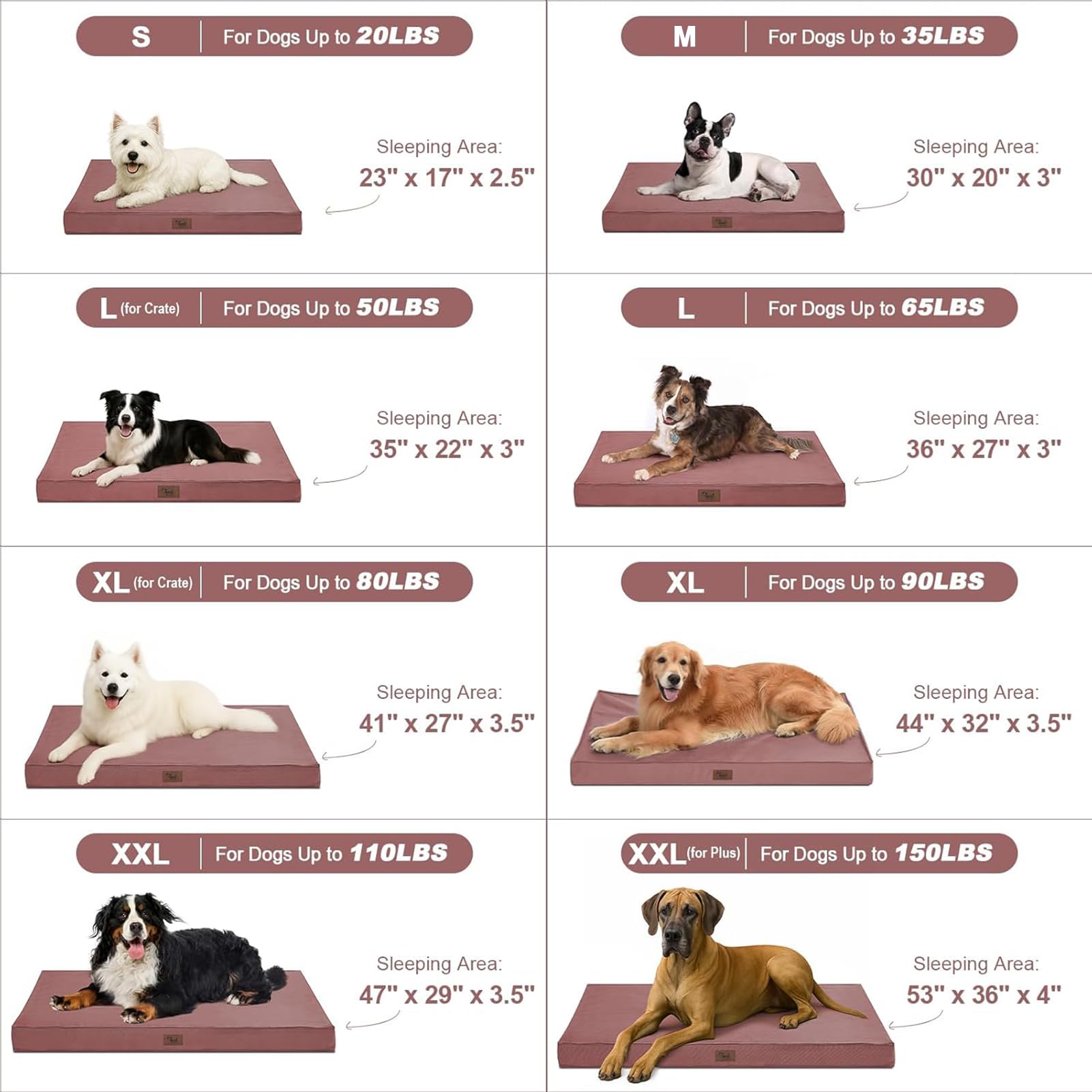 Tail Stories extra-large 44 by 32 bed suited for big dogs