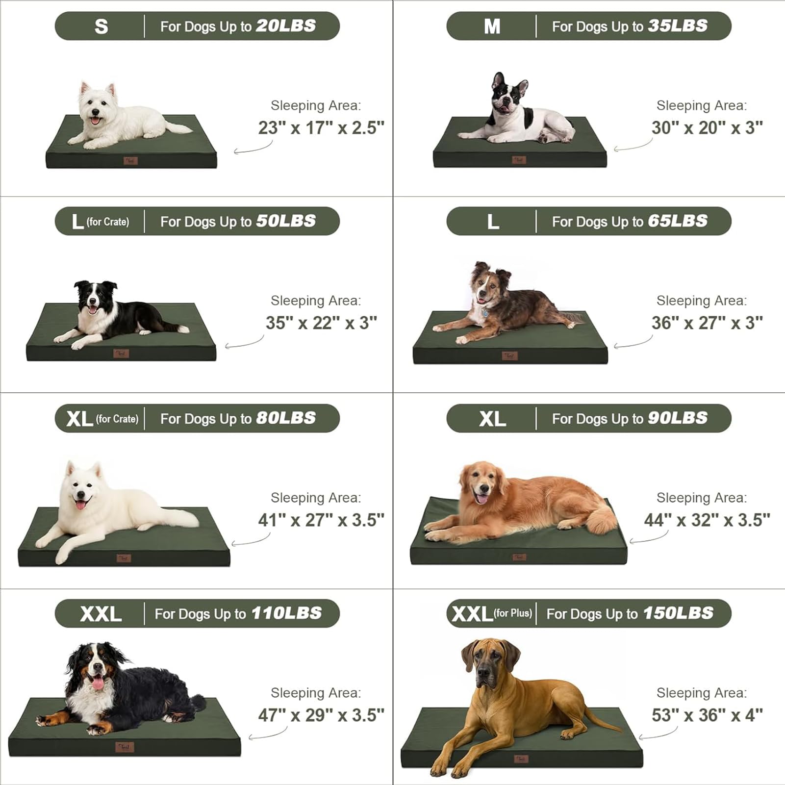 Tail Stories Dark Green Jumbo bed fits large dogs with 4-inch orthopedic foam.