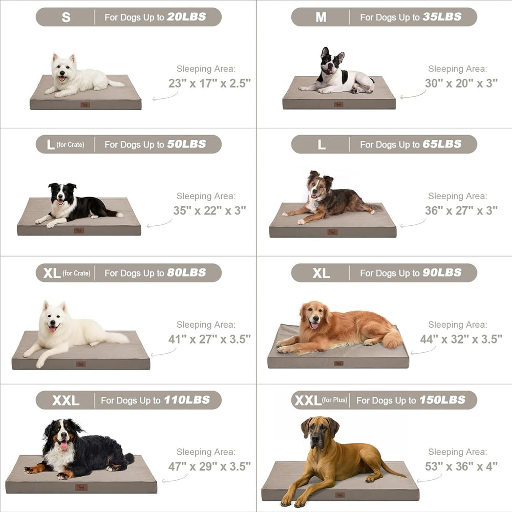 Tail Stories indoor-outdoor dog bed — versatile crate mat for small dogs