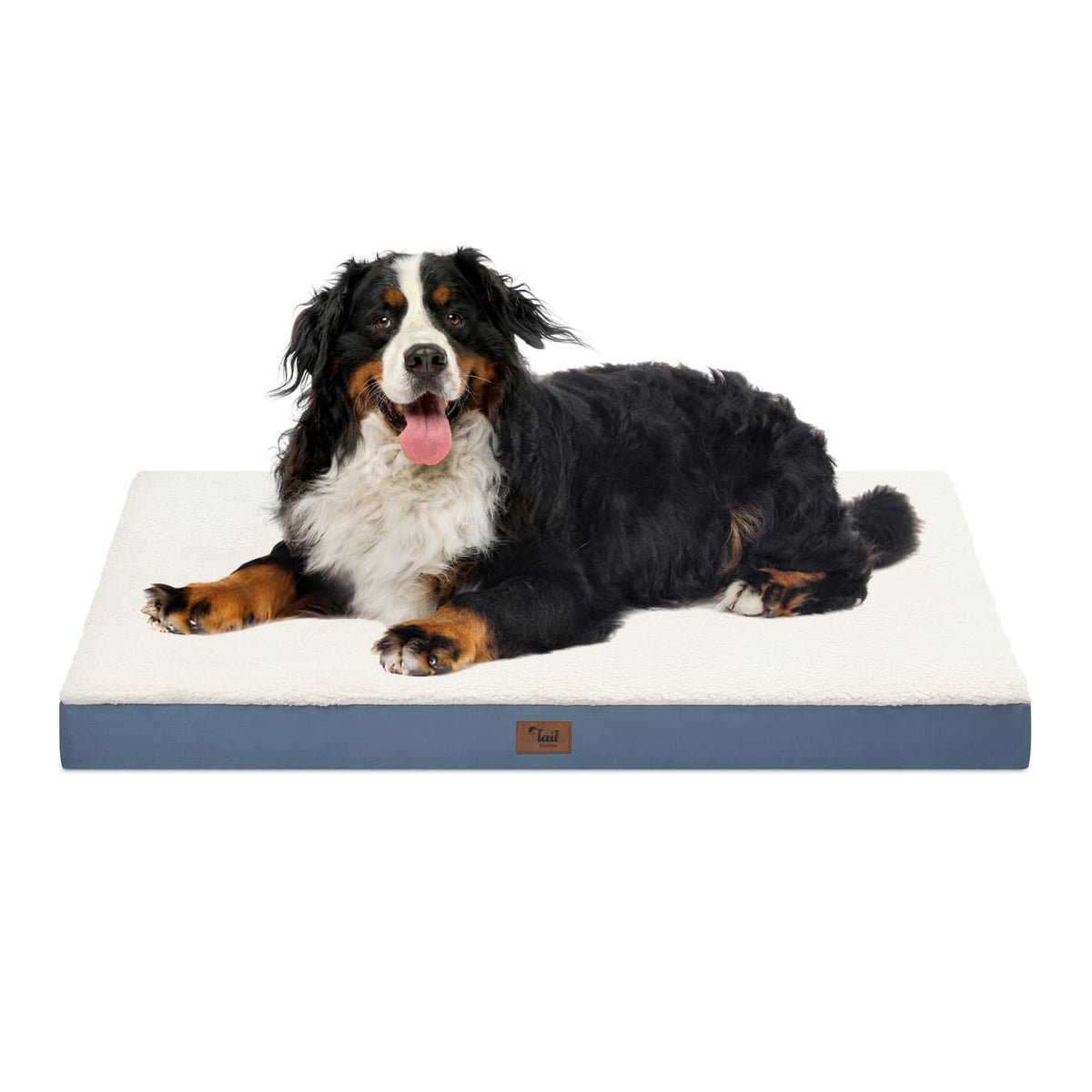 Tail Stories large dog bed outdoor use shows weather-ready comfort for adventures