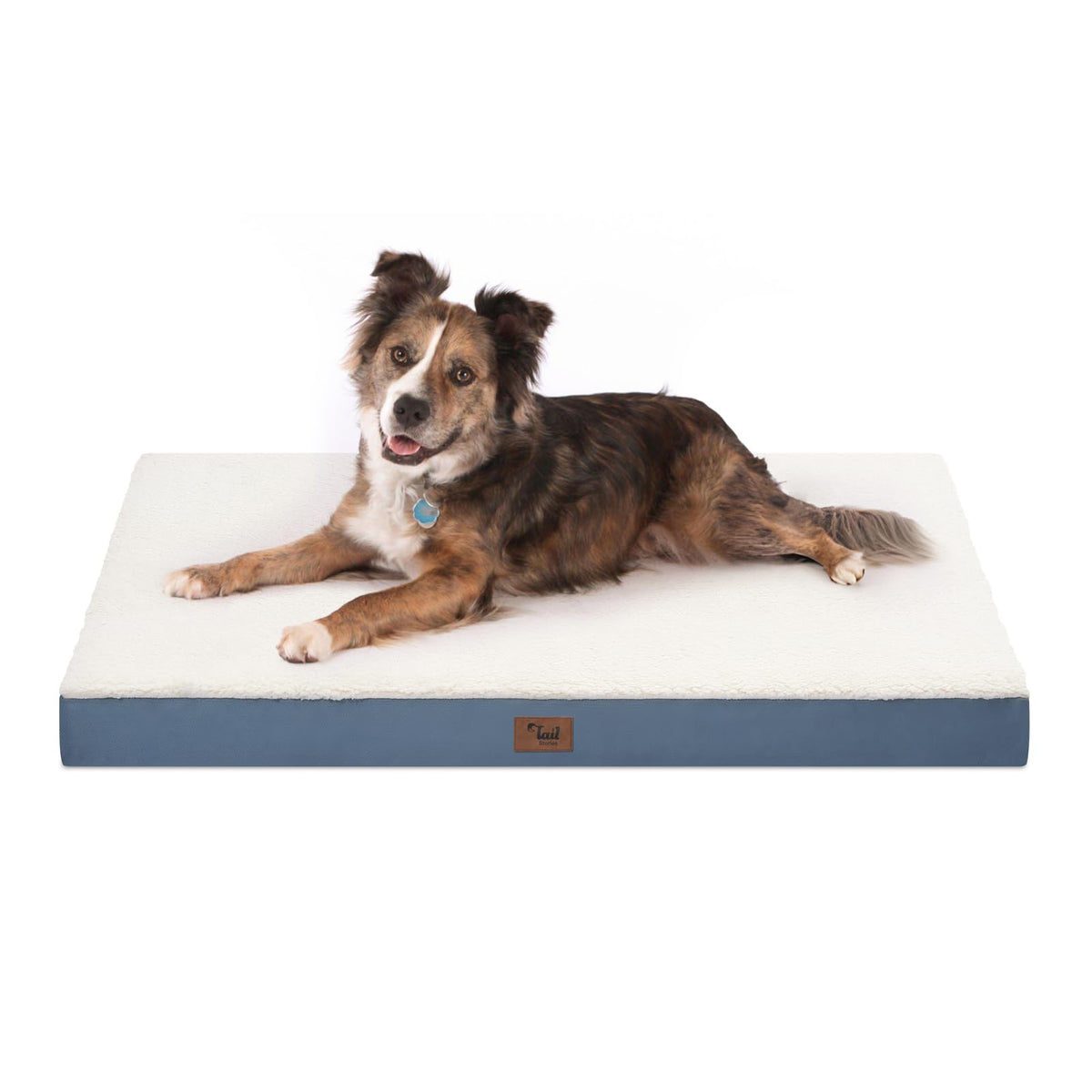 Tail Stories orthopedic bed for large dogs with egg-crate foam cushions joints