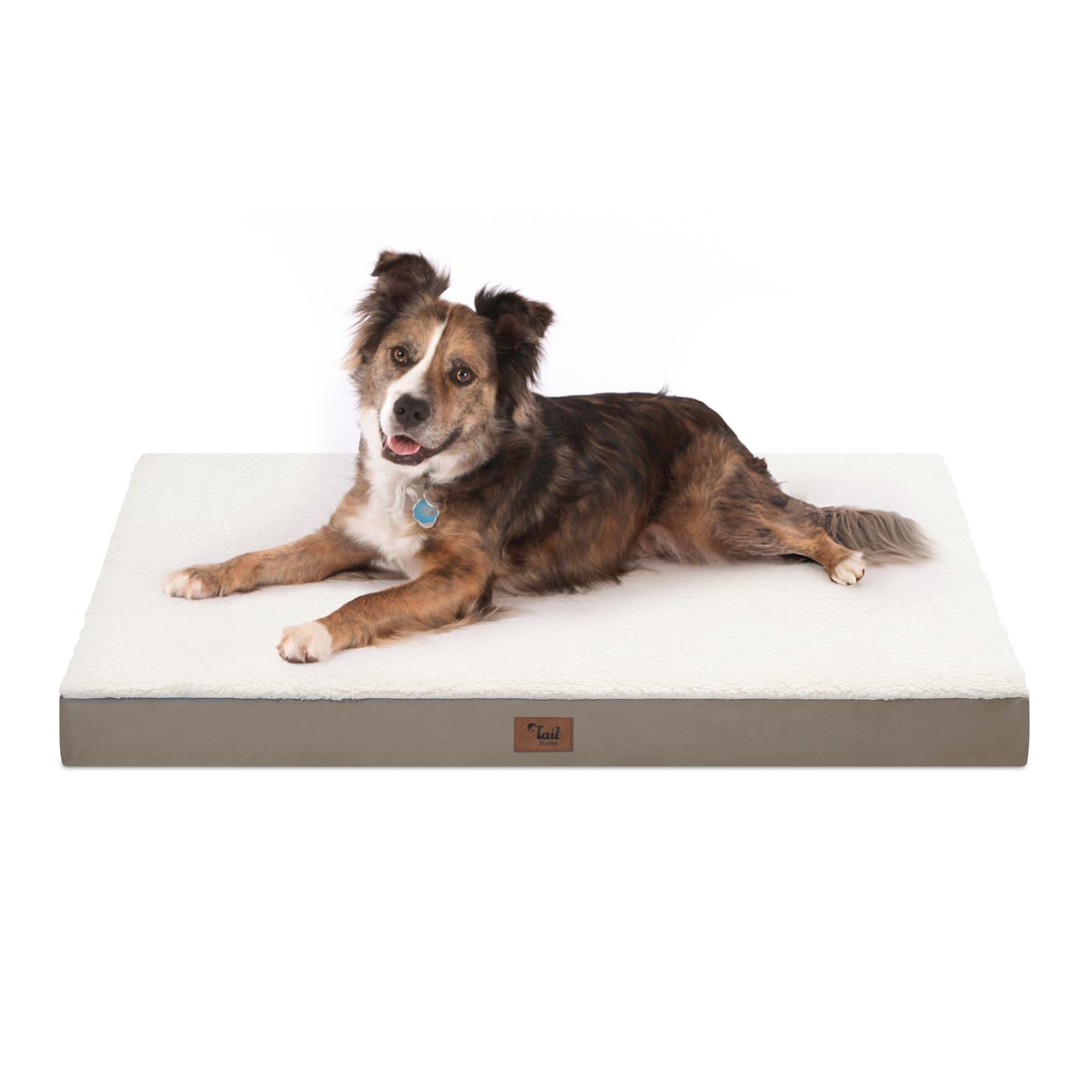 Tail Stories orthopedic dog bed large shot shows 36x27 size for big dogs