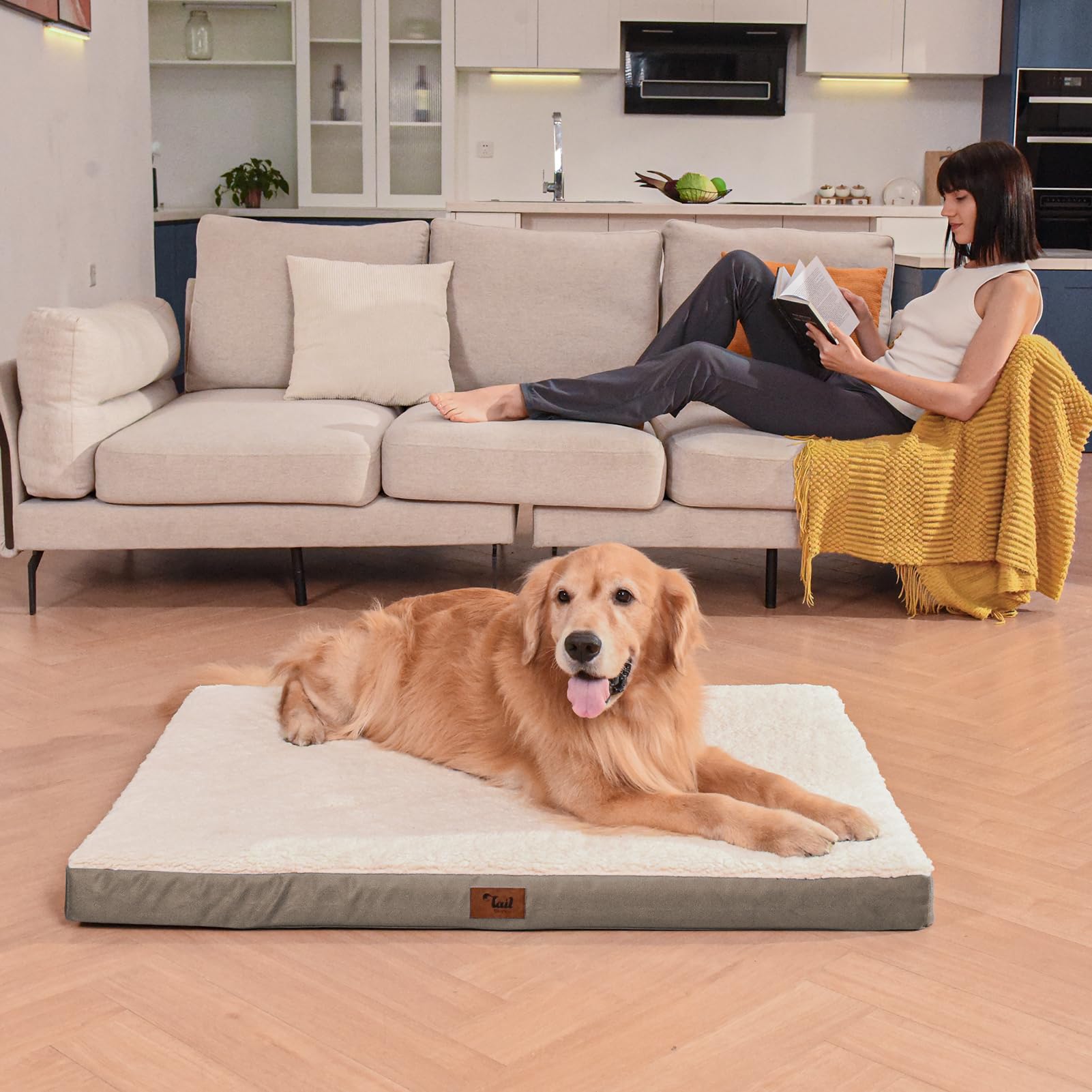 Tail Stories orthopedic dog bed side-handle design for easy transport outdoors