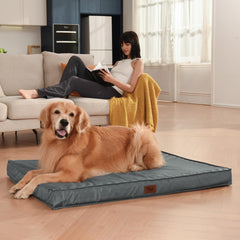 tail stories orthopedic egg crate foam inset supports joints during lounging