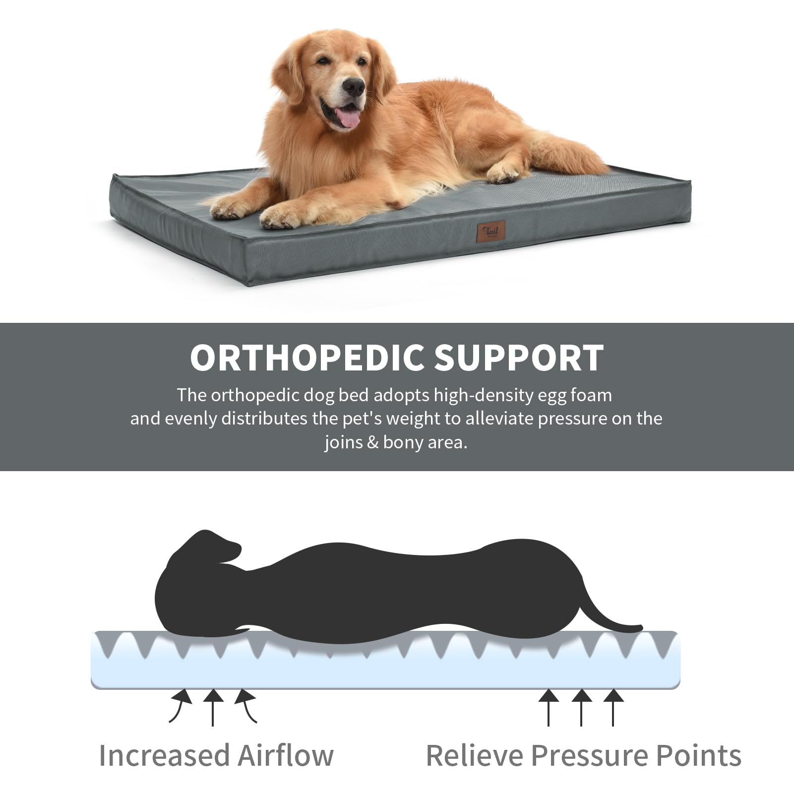 tail stories outdoor dog bed carry handle for travel
