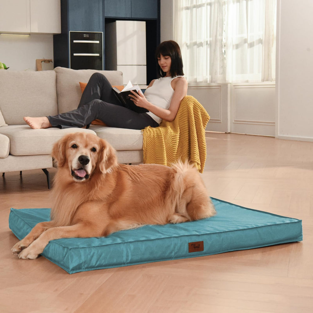 Tail Stories outdoor bed in light blue shows soft cooling comfort on warm days.