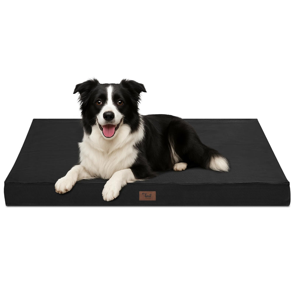 Tail Stories outdoor dog bed side view showing travel-ready design