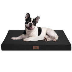 Tail Stories outdoor dog bed for small dogs offers weather-ready comfort for outdoor naps