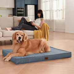 Tail Stories Outdoor Dog Bed waterproof cover closeup shows stain and moisture resistance.